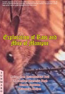 Exploration of Rats and Alice of Alanipur